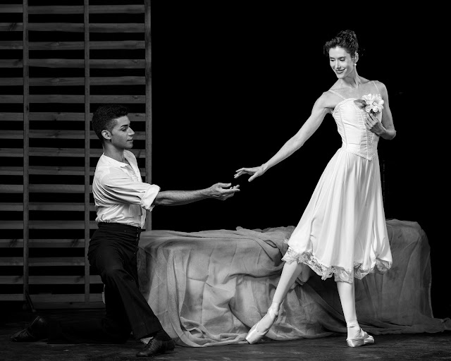La Traviata Ballet Montecasino Joburg Ballet La Traviata Veronica Paeper choreography South African ballet performances Shannon Glover ballerina Teatro Montecasino ballet events Classic ballet productions in Joburg La Traviata Ballet tickets Joburg Ballet August 2024 Montecasino cultural events